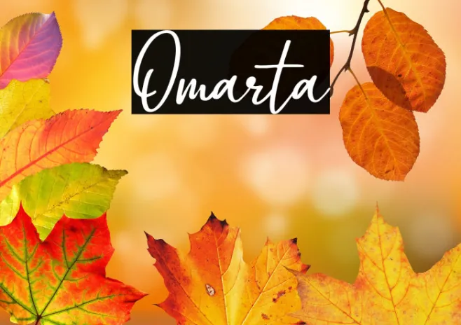 Omarta Example 3