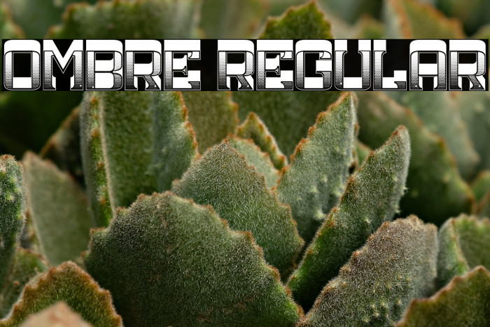 Ombre Regular Example 1