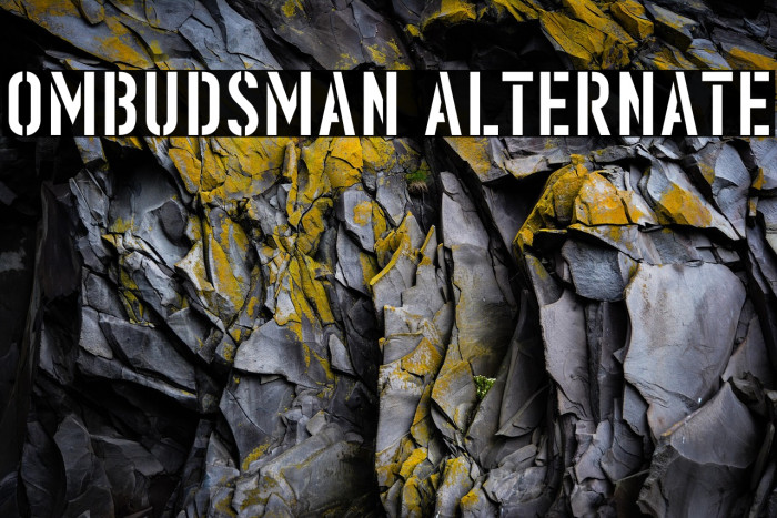 Ombudsman Alternate Example 1