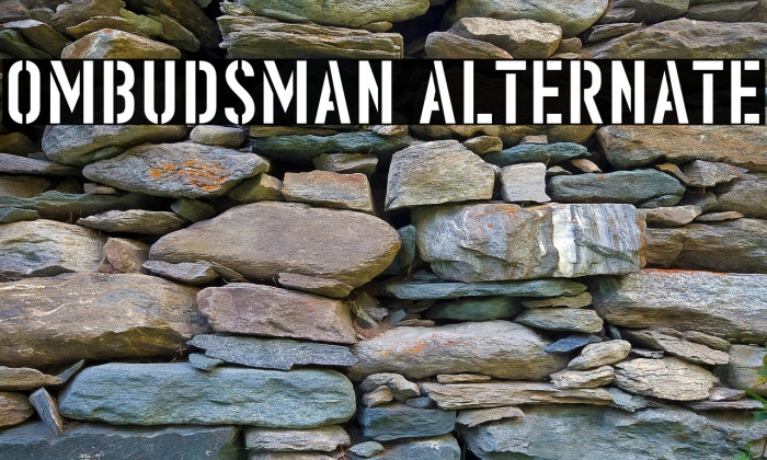 Ombudsman Alternate Example 2