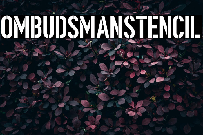 OmbudsmanStencil Example 2