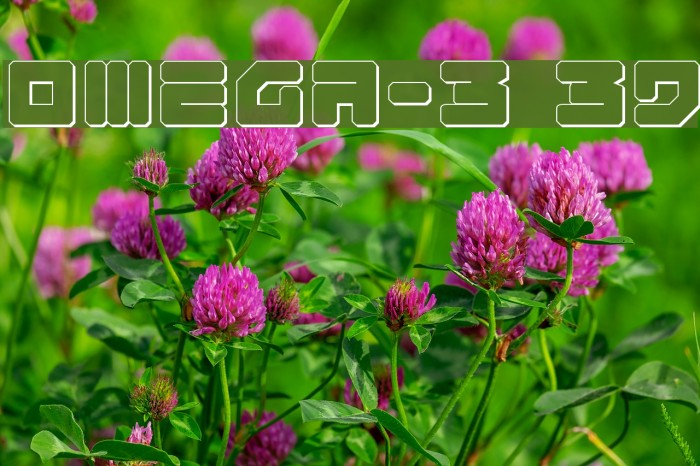 Omega-3 3D Font examples