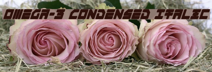 Omega-3 Condensed Italic Example 1