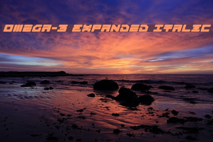 Omega-3 Expanded Italic Example 2