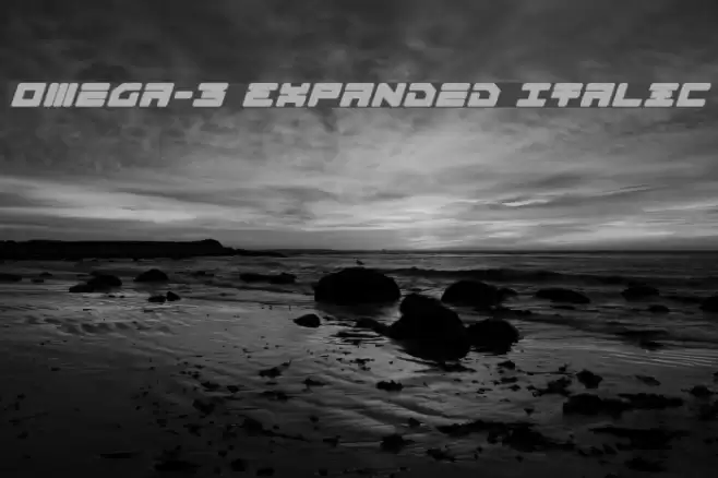 Omega-3 Expanded Italic Font examples