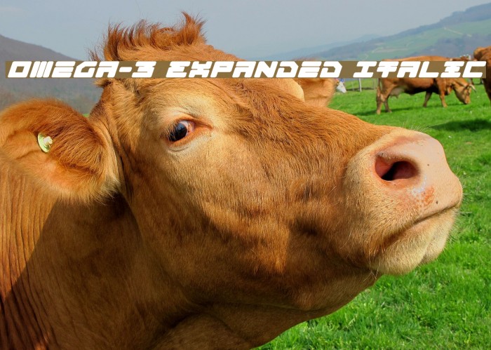 Omega-3 Expanded Italic Example 3