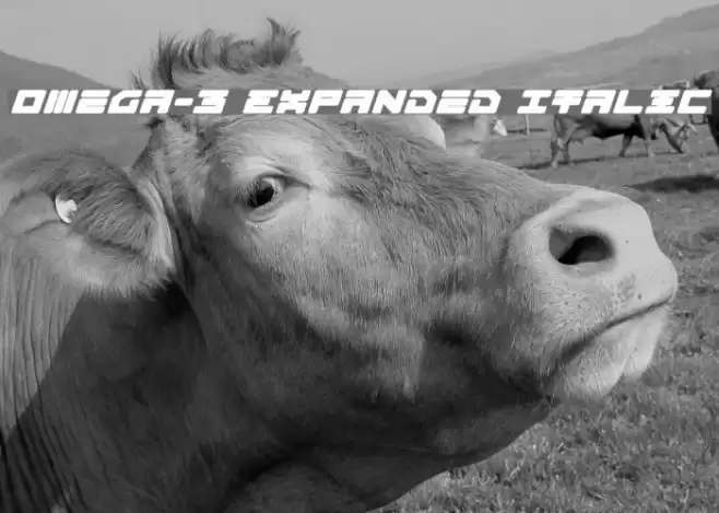 Omega-3 Expanded Italic Font examples