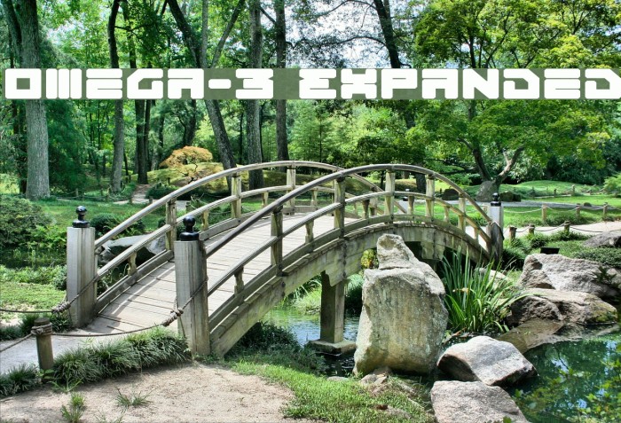 Omega-3 Expanded Font examples