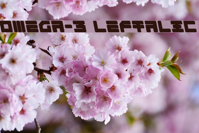 Omega-3 Leftalic Font examples