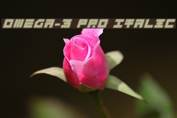 Omega-3 Pro Italic Font examples