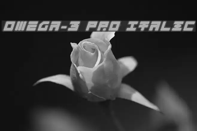 Omega-3 Pro Italic Font examples