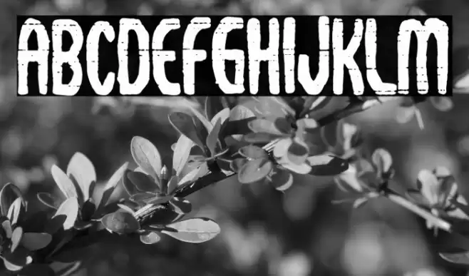 Omega 343 Font examples