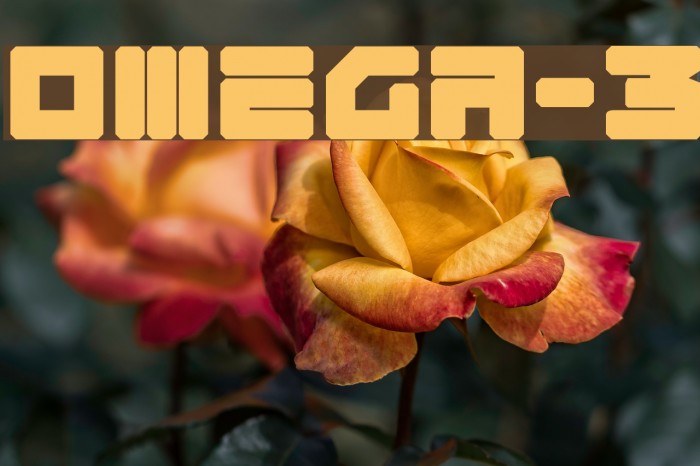 Omega-3 Font examples