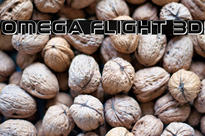 Omega Flight 3D Example 2