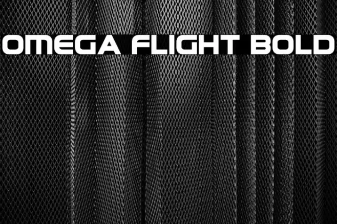 Omega Flight Bold Font examples
