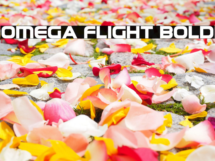Omega Flight Bold Example 3