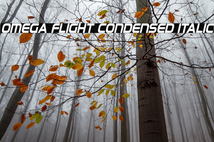 Omega Flight Condensed Italic Example 1