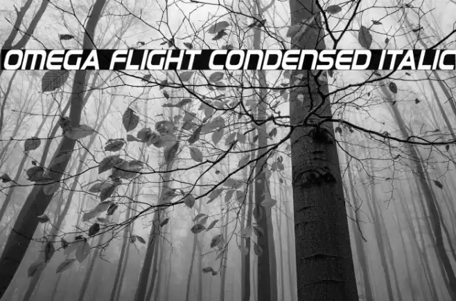 Omega Flight Condensed Italic Font examples