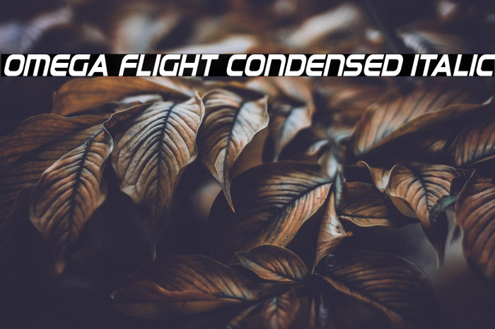 Omega Flight Condensed Italic Example 3