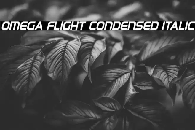 Omega Flight Condensed Italic Font examples