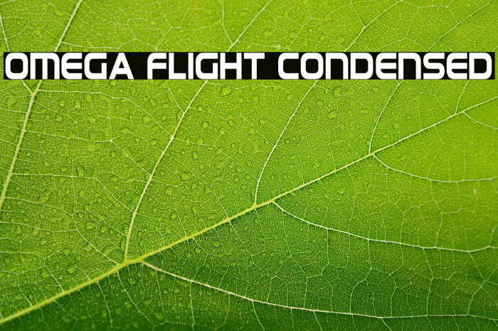 Omega Flight Condensed Example 1