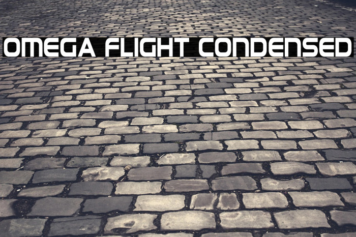 Omega Flight Condensed Example 2