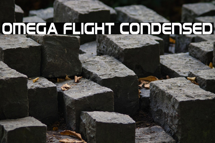 Omega Flight Condensed Example 3