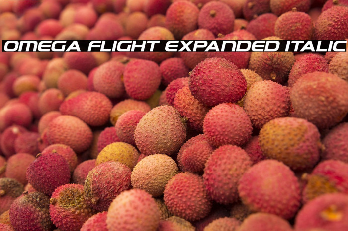Omega Flight Expanded Italic Example 1