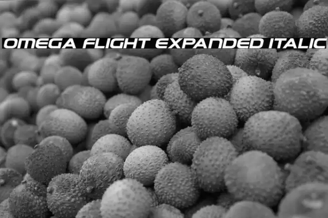 Omega Flight Expanded Italic Font examples