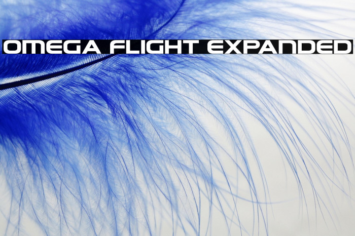 Omega Flight Expanded Example 1