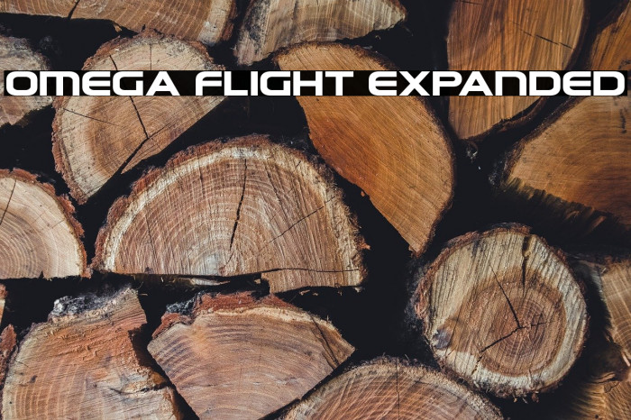Omega Flight Expanded Example 2