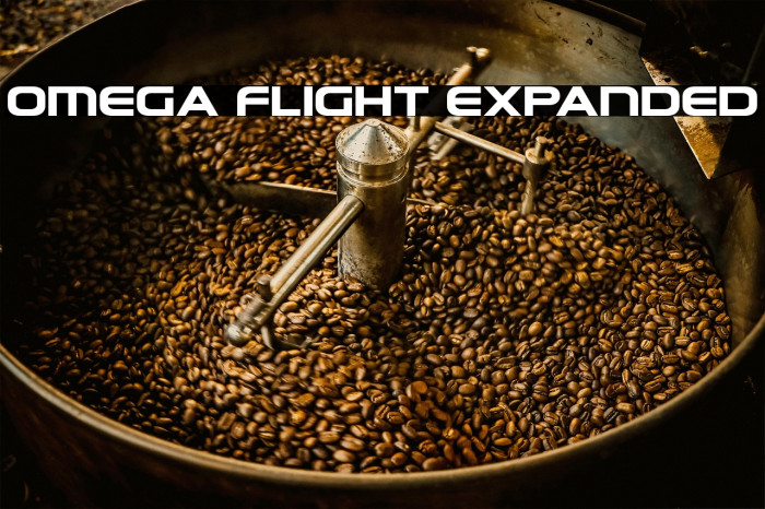 Omega Flight Expanded Example 3