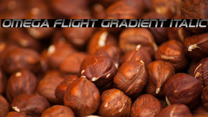 Omega Flight Gradient Italic Example 1