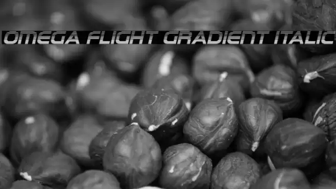 Omega Flight Gradient Italic Font examples