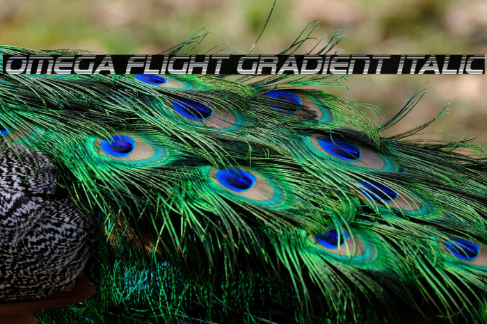 Omega Flight Gradient Italic Example 2