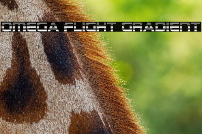 Omega Flight Gradient Example 2