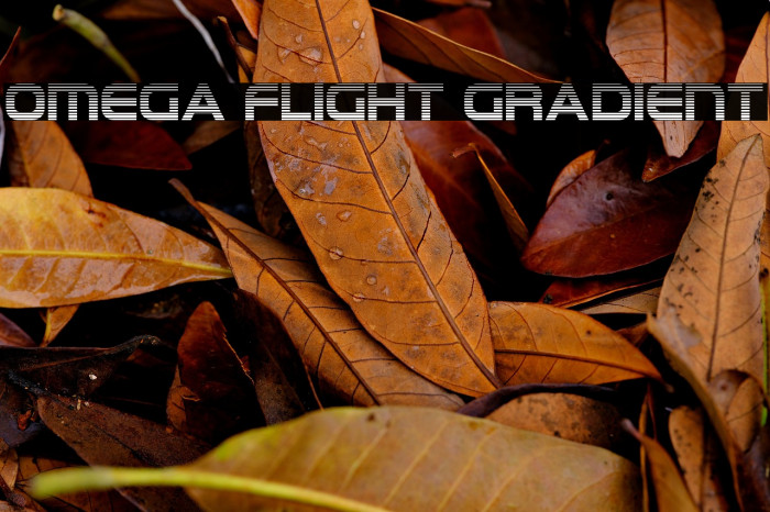 Omega Flight Gradient Example 3