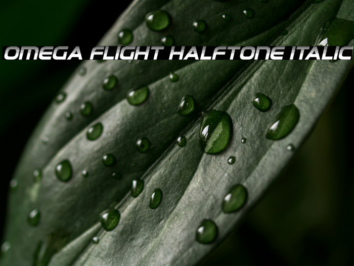 Omega Flight Halftone Italic Example 1