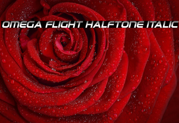 Omega Flight Halftone Italic Example 3