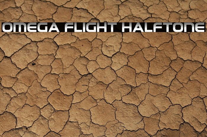 Omega Flight Halftone Example 1