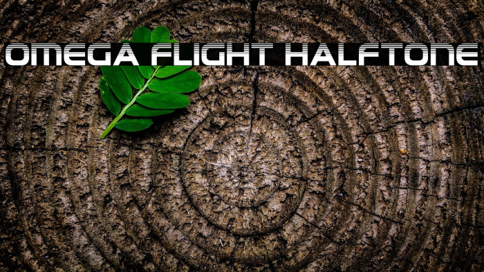 Omega Flight Halftone Example 2