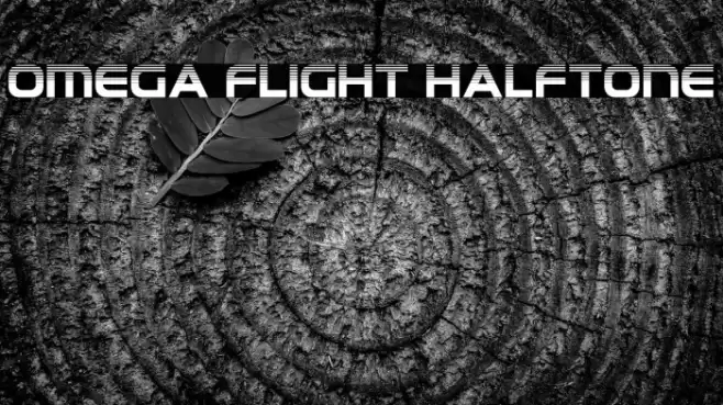 Omega Flight Halftone Font examples