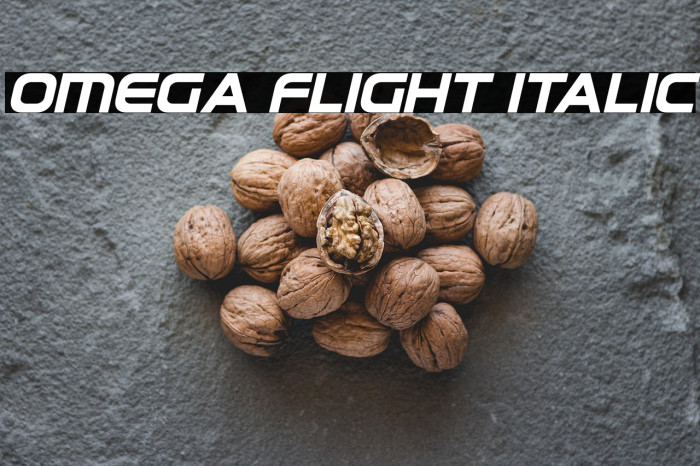 Omega Flight Italic Example 1