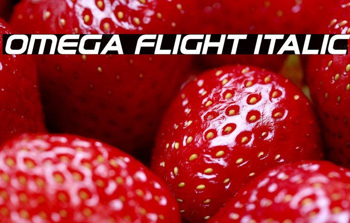 Omega Flight Italic Example 2