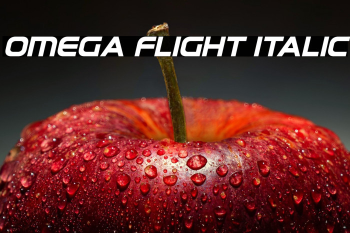 Omega Flight Italic Example 3