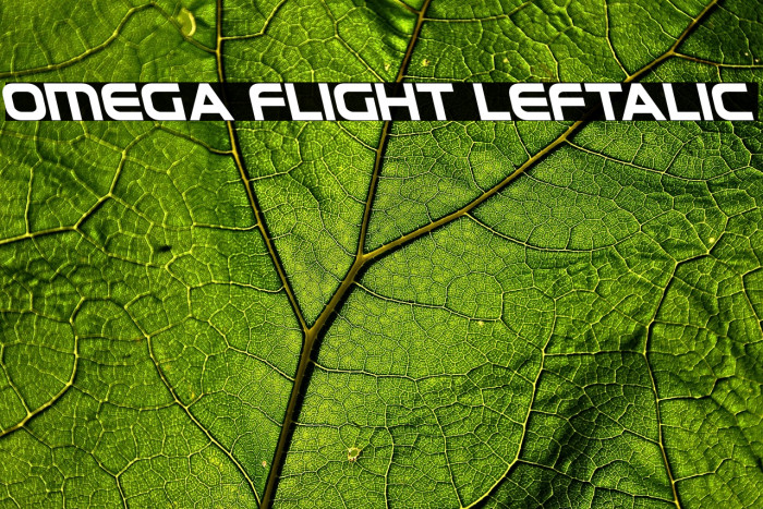 Omega Flight Leftalic Example 1