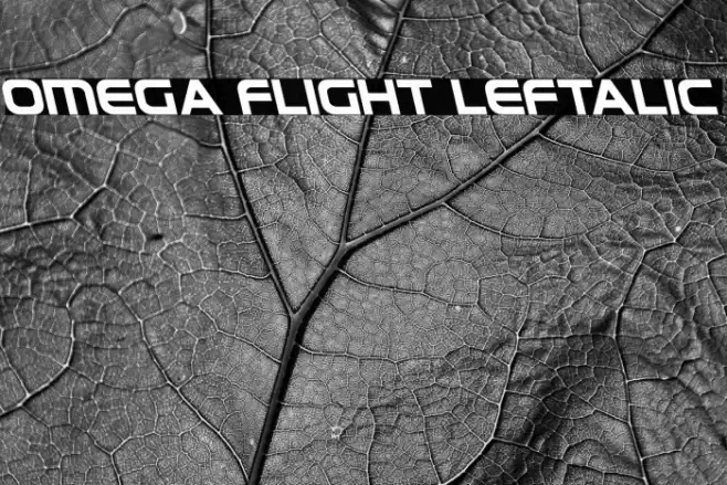 Omega Flight Leftalic Font examples