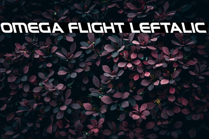 Omega Flight Leftalic Example 3
