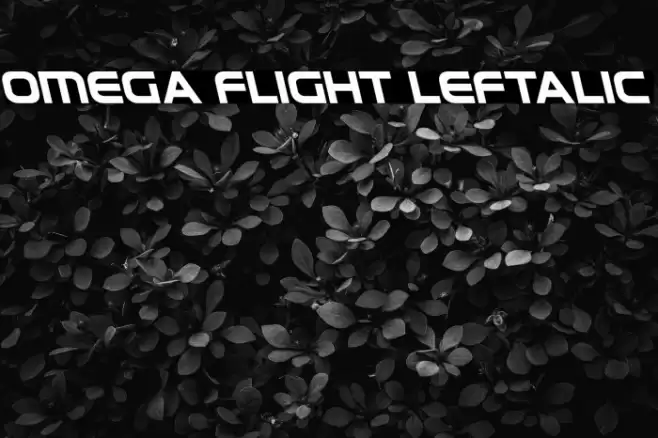 Omega Flight Leftalic Font examples