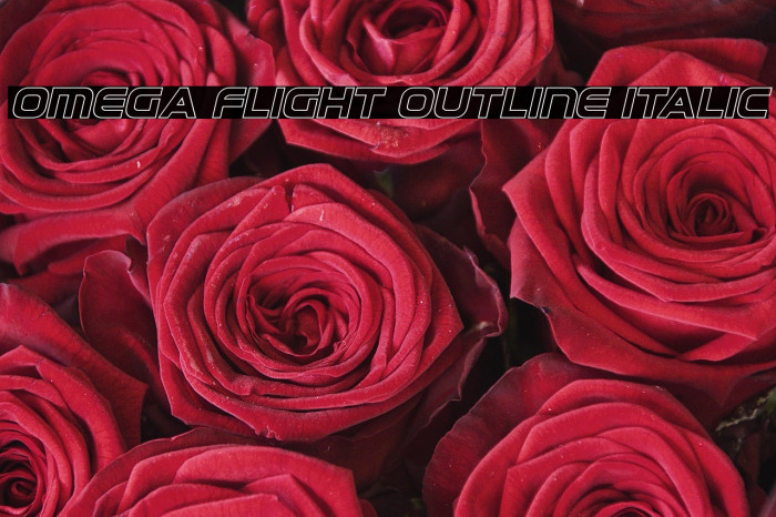 Omega Flight Outline Italic Example 2